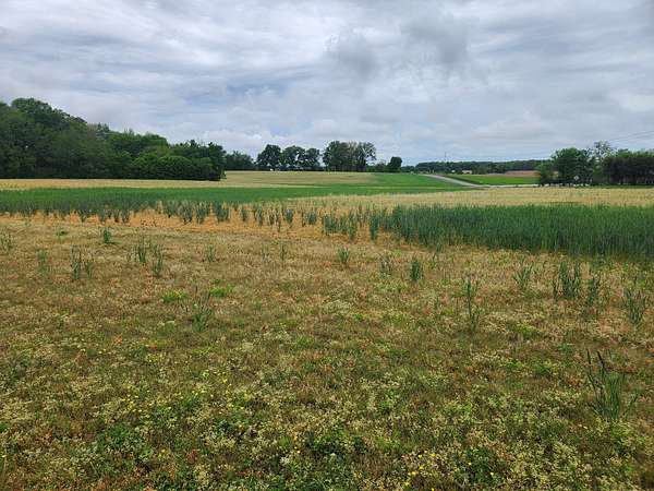 101 Acres of Land for Sale in Manchester, Tennessee