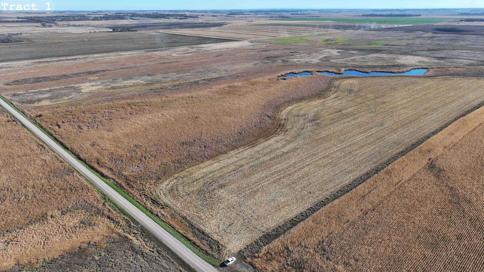 277 Acres of Agricultural Land for Auction in Crete, North Dakota