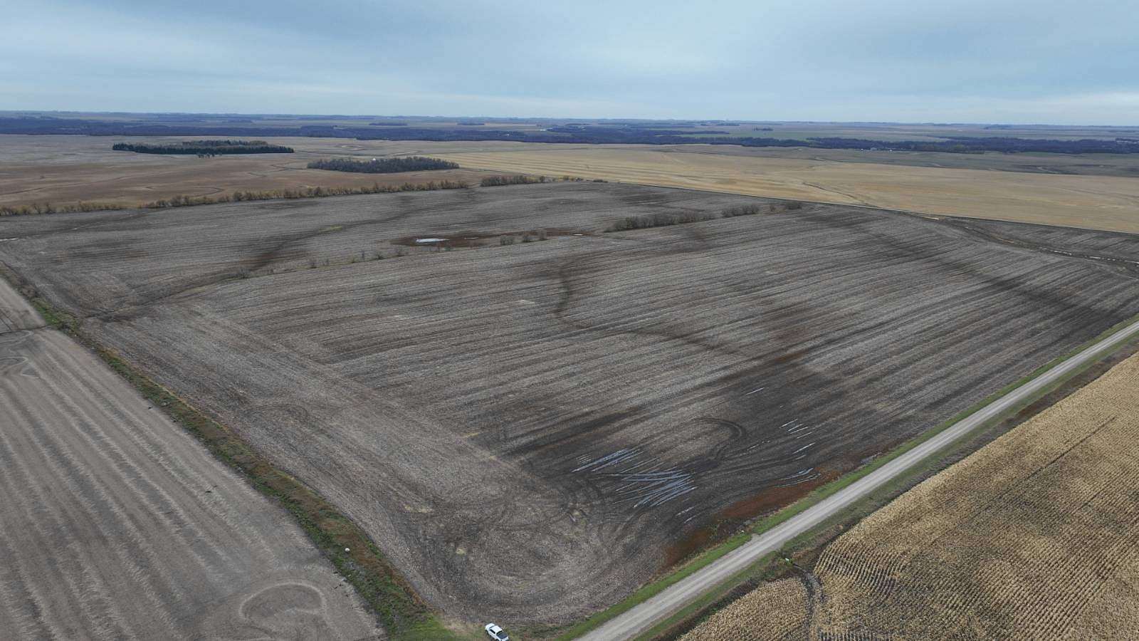 160 Acres of Agricultural Land for Auction in Walhalla, North Dakota