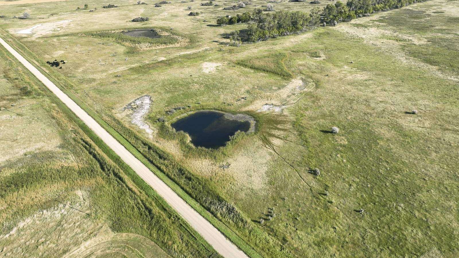 74 Acres of Agricultural Land for Auction in Willow City, North Dakota