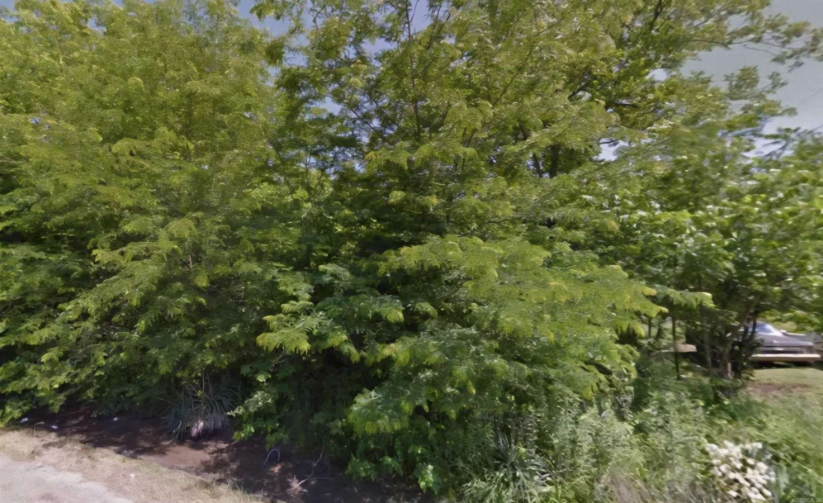 0.34 Acres of Residential Land for Sale in Dermott, Arkansas