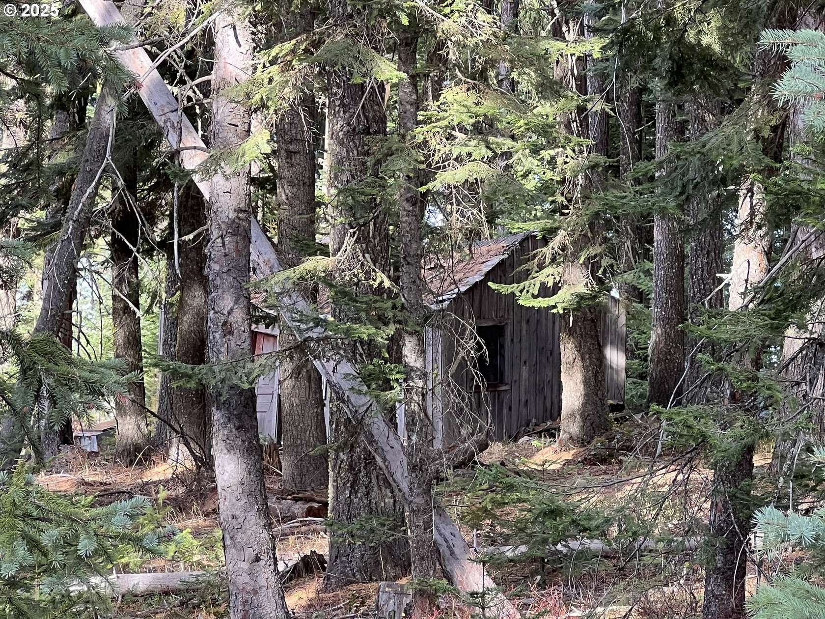 1 Acre of Land for Sale in Weston, Oregon