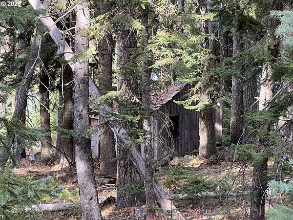 1 Acre of Land for Sale in Weston, Oregon