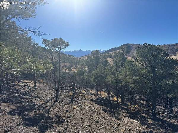 7.29 Acres of Residential Land for Sale in Cotopaxi, Colorado