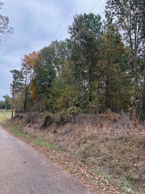 61 Acres of Recreational Land for Sale in Texarkana, Texas
