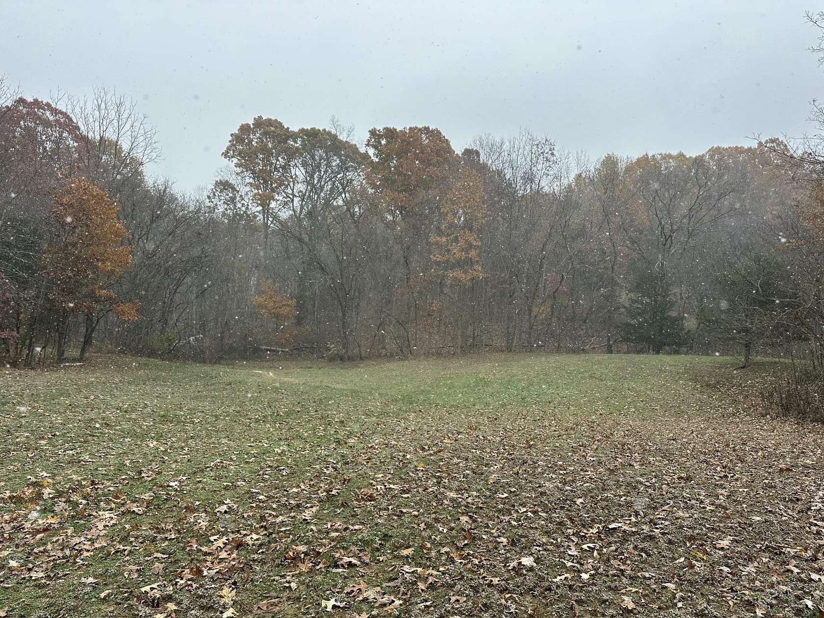 20 Acres of Recreational Land for Sale in Sadieville, Kentucky
