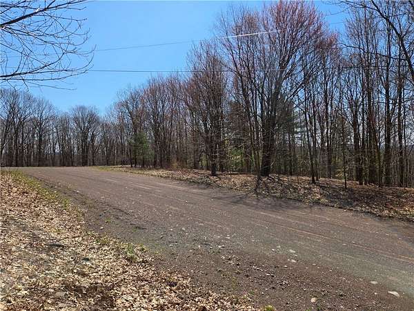 5.63 Acres of Land for Sale in Bovina Center, New York