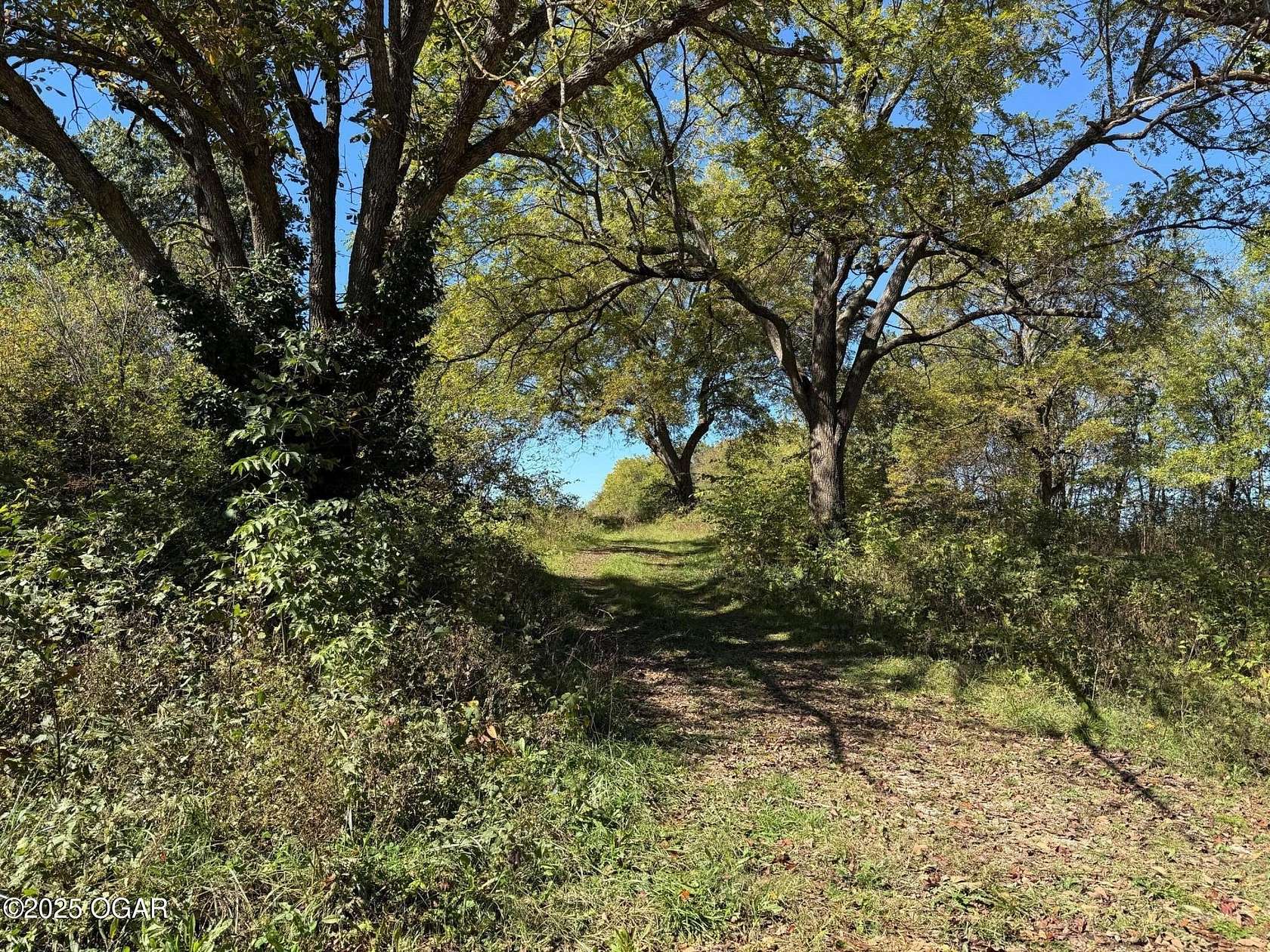 12 Acres of Land for Sale in Newtonia, Missouri