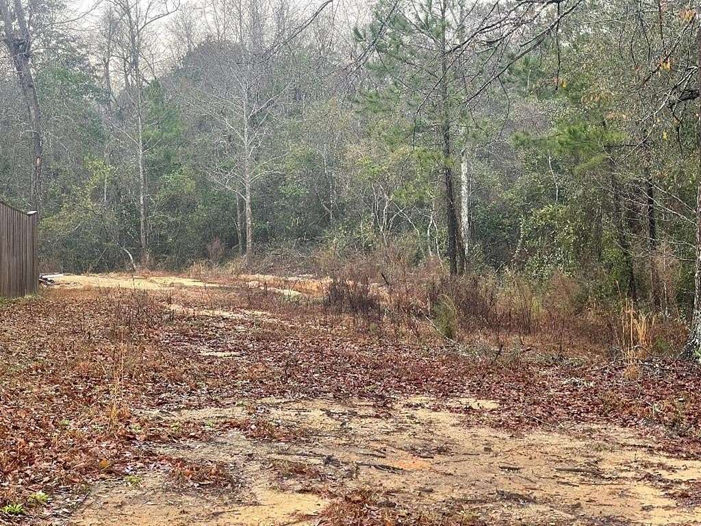 3.8 Acres of Residential Land for Sale in Carriere, Mississippi