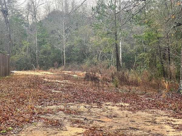 3.8 Acres of Residential Land for Sale in Carriere, Mississippi
