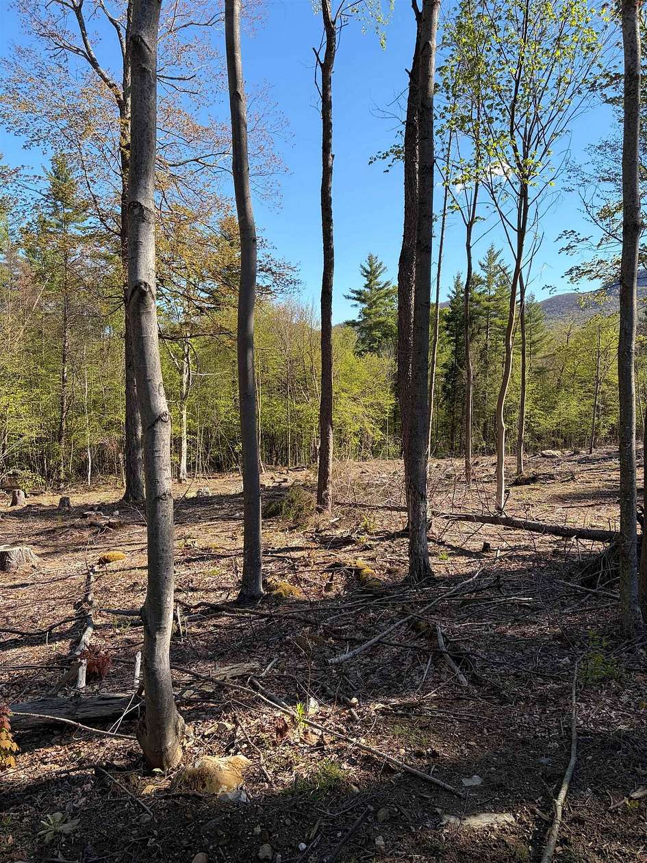 3 Acres of Land for Sale in Dorset, Vermont