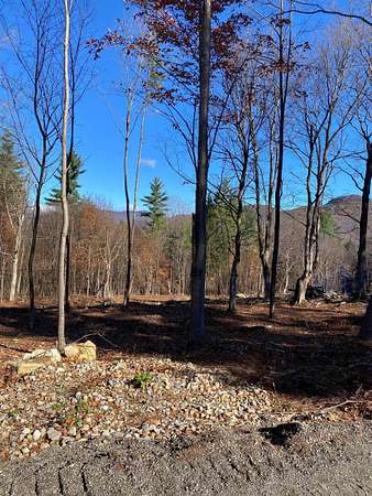 3 Acres of Land for Sale in Dorset, Vermont