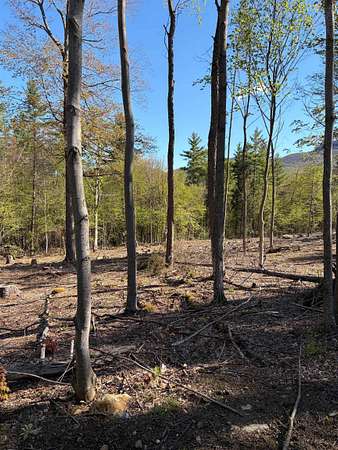 3 Acres of Land for Sale in Dorset, Vermont
