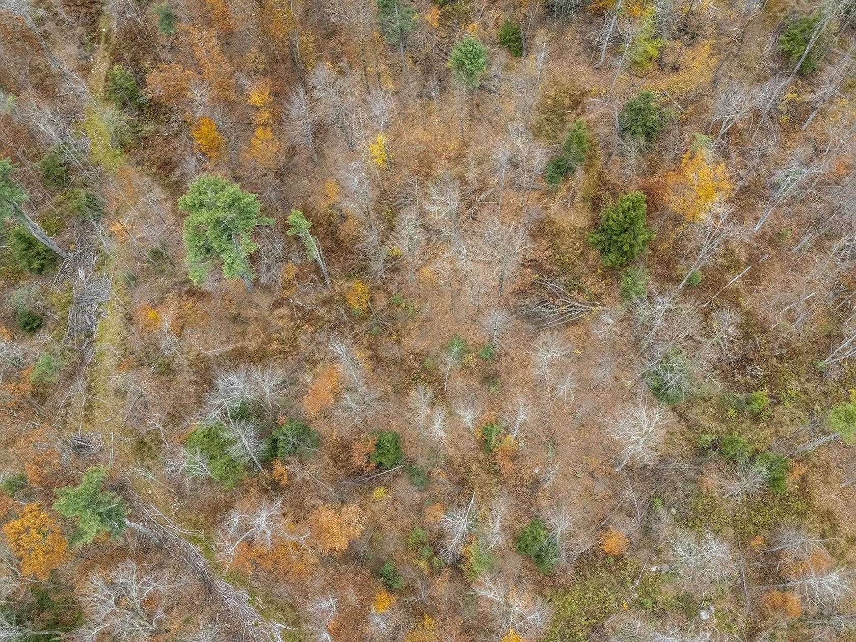 62 Acres of Recreational & Residential Land for Sale in New Ipswich, New Hampshire