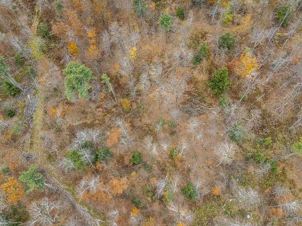 62 Acres of Recreational & Residential Land for Sale in New Ipswich, New Hampshire