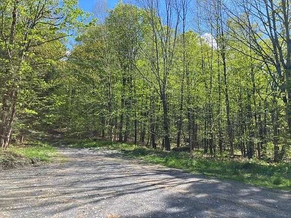 17 Acres of Recreational Land for Sale in Readsboro, Vermont