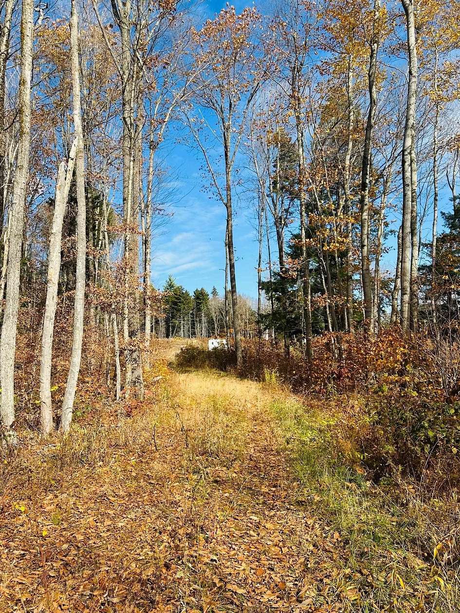 19.6 Acres of Land for Sale in Wardsboro, Vermont