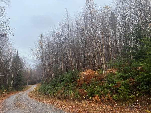 10 Acres of Land for Sale in Canaan, Vermont