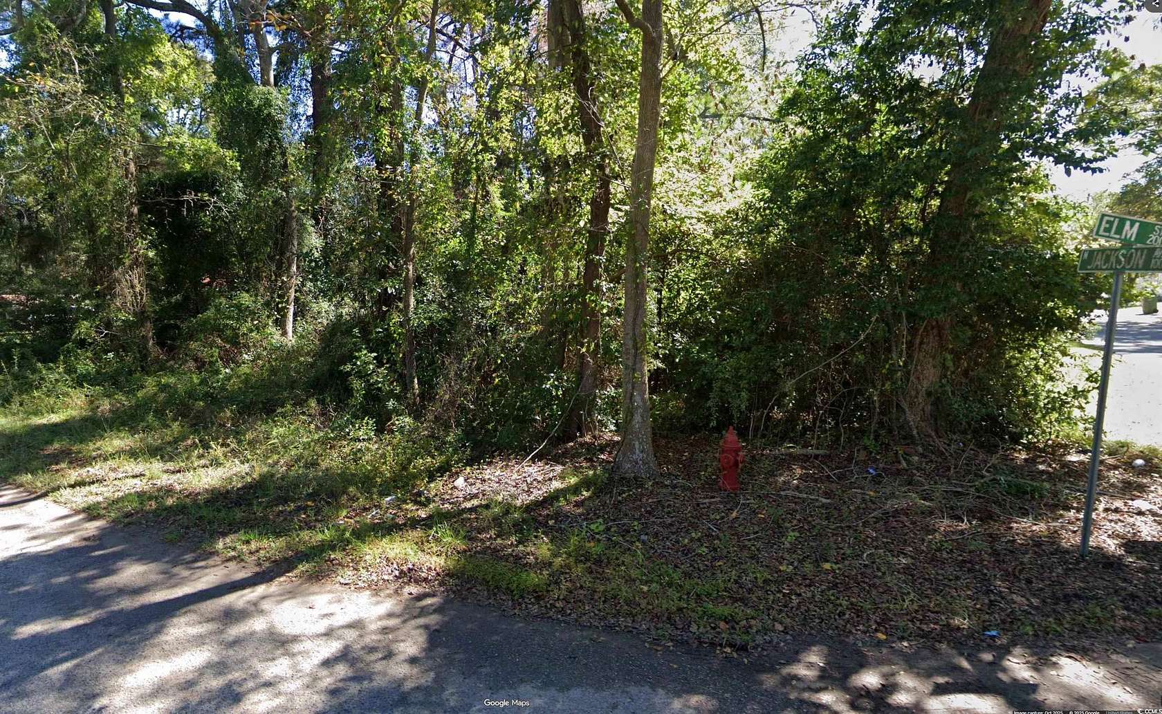 0.34 Acres of Residential Land for Sale in Johnsonville, South Carolina