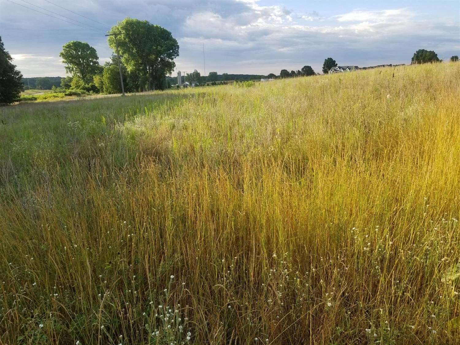 2.4 Acres of Residential Land for Sale in Chelsea, Michigan