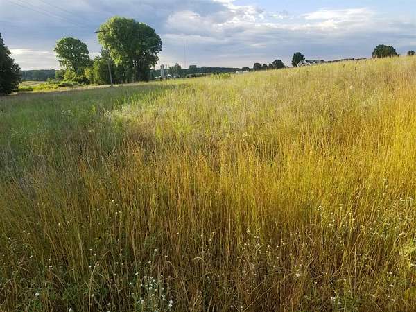 2.4 Acres of Residential Land for Sale in Chelsea, Michigan