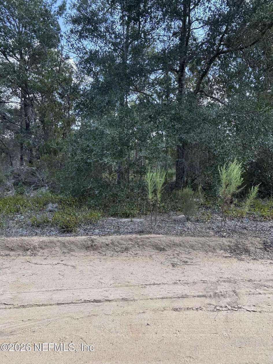 0.1 Acres of Residential Land for Sale in Interlachen, Florida