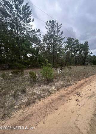 0.1 Acres of Residential Land for Sale in Interlachen, Florida