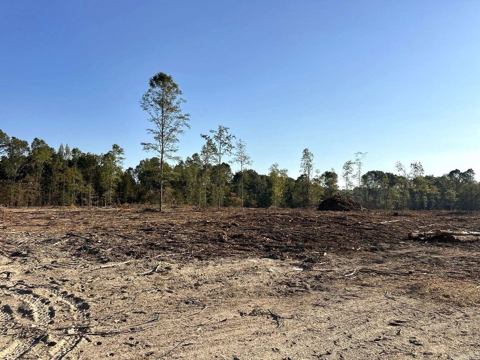 31.3 Acres of Land for Sale in Sheridan, Arkansas