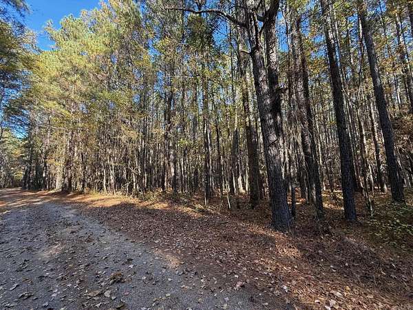 31.3 Acres of Recreational & Residential Land for Sale in Sheridan, Arkansas