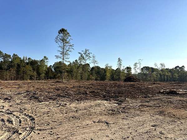 31.3 Acres of Land for Sale in Sheridan, Arkansas