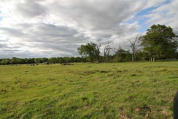 10 Acres of Residential Land for Sale in Van, Texas