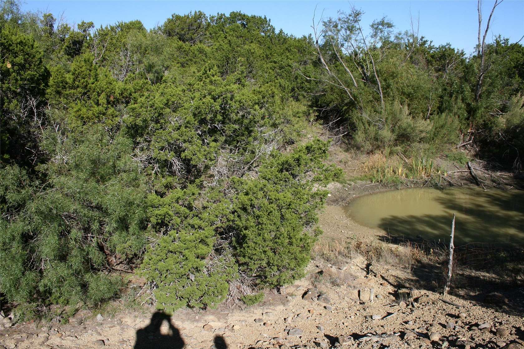 6.73 Acres of Land for Sale in Strawn, Texas