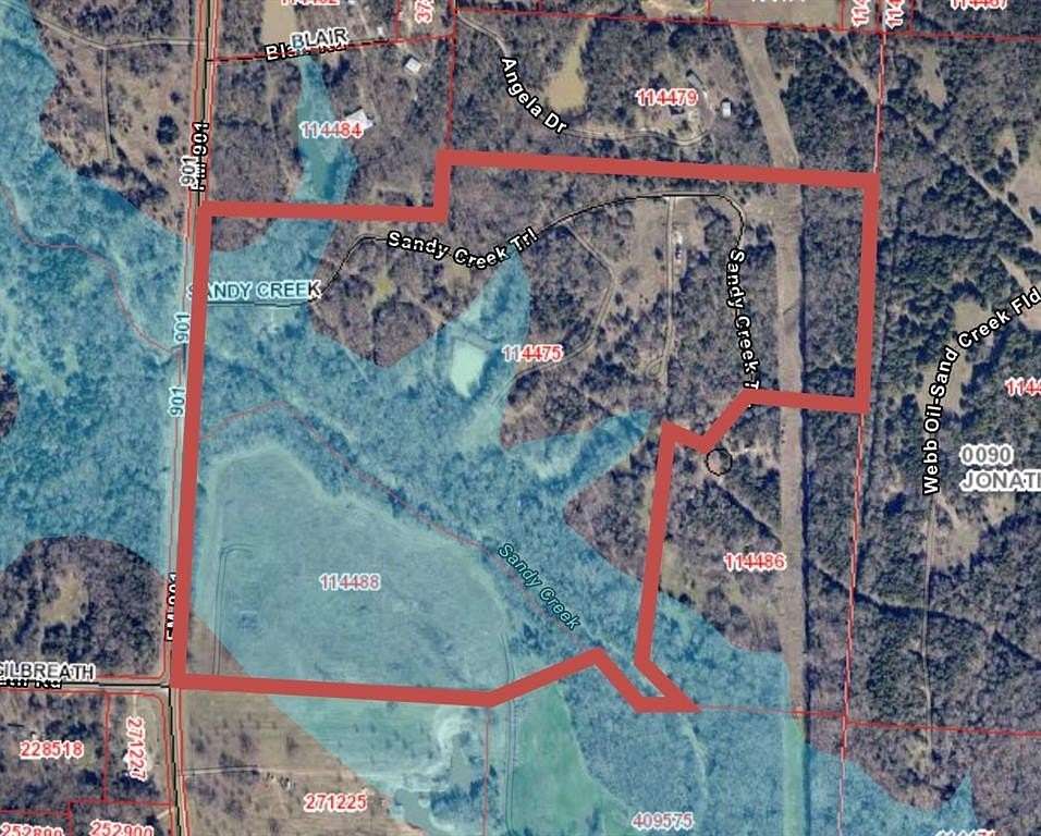 66.5 Acres of Recreational Land for Sale in Sadler, Texas