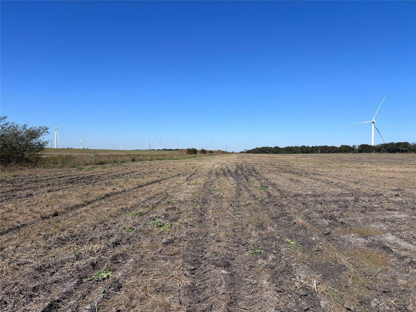 1.46 Acres of Residential Land for Sale in Mart, Texas