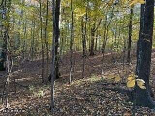 0.4 Acres of Land for Sale in Hernando, Mississippi