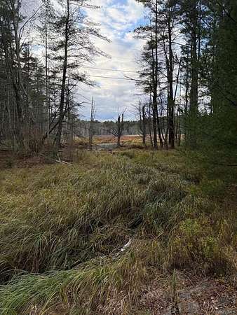 5.7 Acres of Residential Land for Sale in Bethel, New York