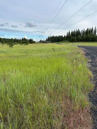 20 Acres of Land for Sale in Chattaroy, Washington