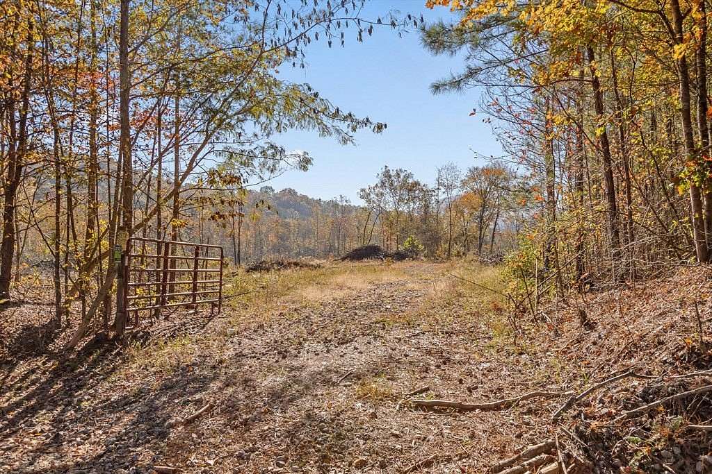 212 Acres of Land for Sale in Rocky Face, Georgia