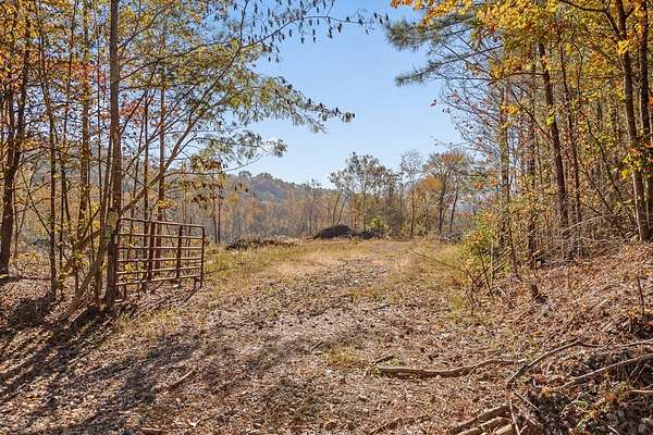 212 Acres of Land for Sale in Rocky Face, Georgia