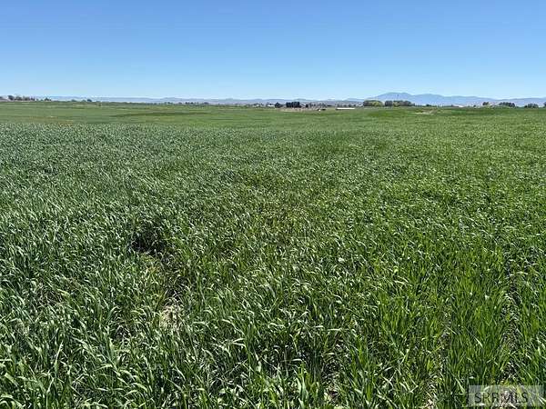 371 Acres of Agricultural Land for Sale in Pingree, Idaho