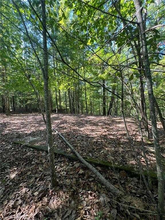 17.7 Acres of Recreational Land for Sale in Rockmart, Georgia