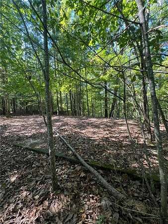 17.7 Acres of Recreational Land for Sale in Rockmart, Georgia