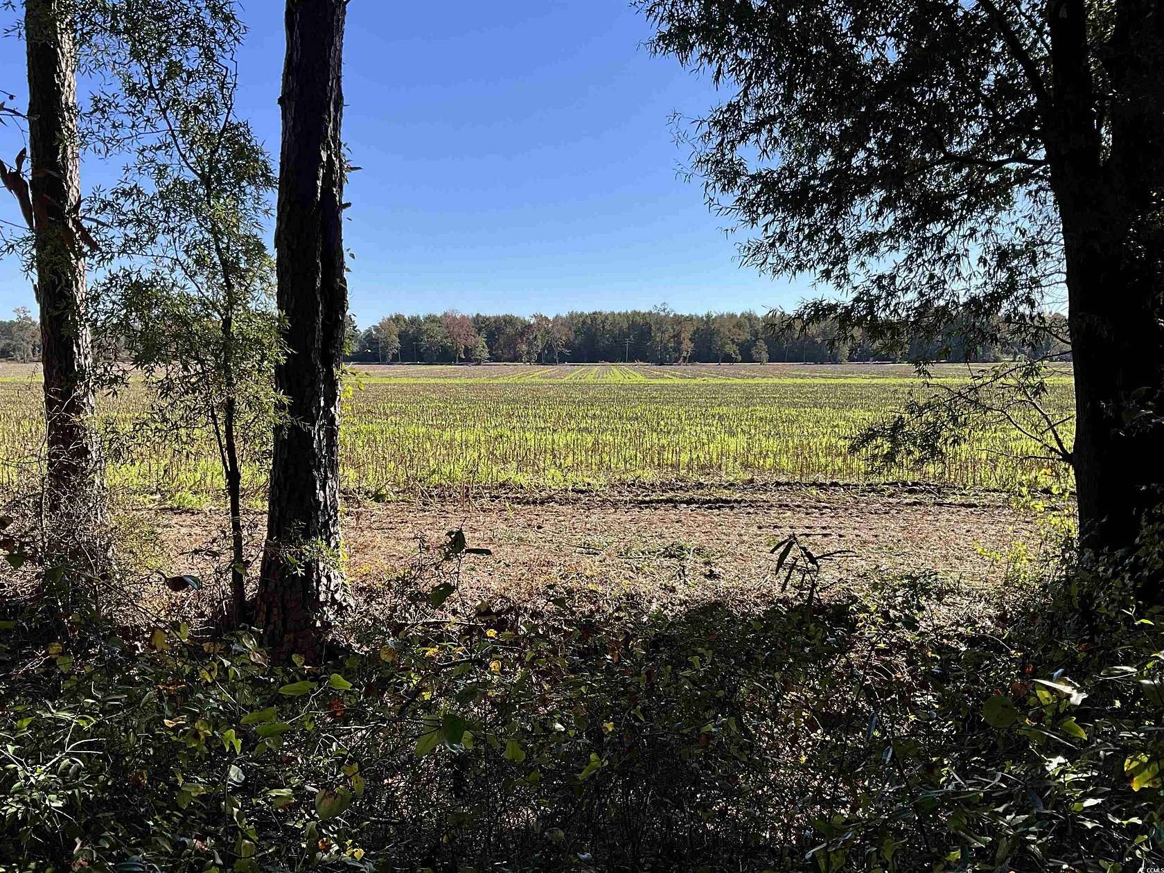 2.74 Acres of Residential Land for Sale in Marion, South Carolina