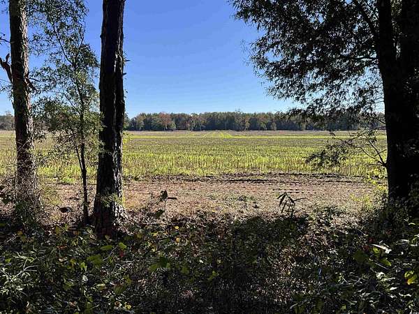 2.74 Acres of Residential Land for Sale in Marion, South Carolina