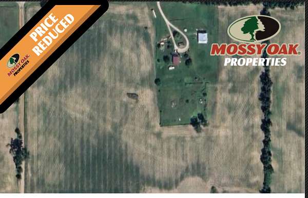 30.3 Acres of Recreational Land & Farm for Sale in Montgomery, Michigan