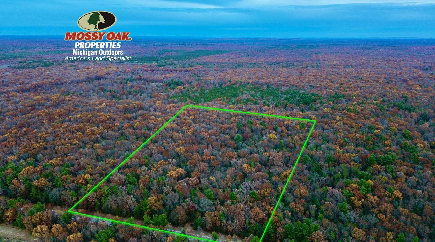20 Acres of Land for Sale in Free Soil, Michigan