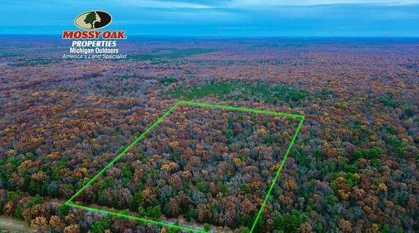 20 Acres of Land for Sale in Free Soil, Michigan