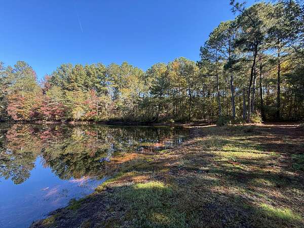 49 Acres of Recreational Land & Farm for Sale in Lumberton, North Carolina