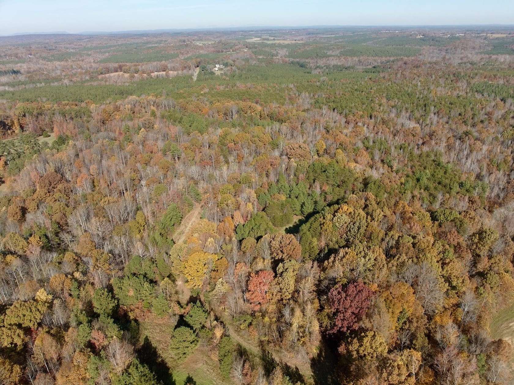 40 Acres of Recreational Land for Sale in Keeling, Virginia