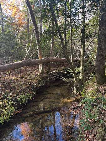 5 Acres of Recreational Land for Sale in Gruetli-Laager, Tennessee